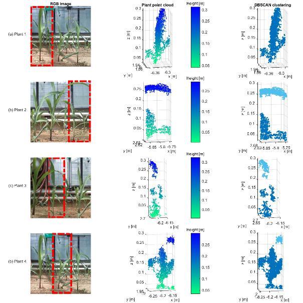 Chapter 5: Part IV: Determination of stem position and height of reconstructed maize plants using a time-of-flight camera 101 (apex or tip) were the highest point of the plant and were taken as a