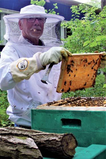 Viele Menschen haben großen Respekt vor den Bienen, sie fürchten den Stich. Wir wissen, dass der Giftstachel ein Wehrstachel ist. Haben Sie Verhaltensregeln für uns?