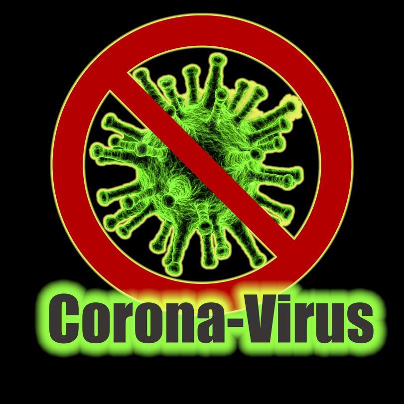ktuelles Unmittelbar vor Drucklegung hat sich die usbreitung des Corona- Virus derart verschärft, dass ein Verbot jeglicher