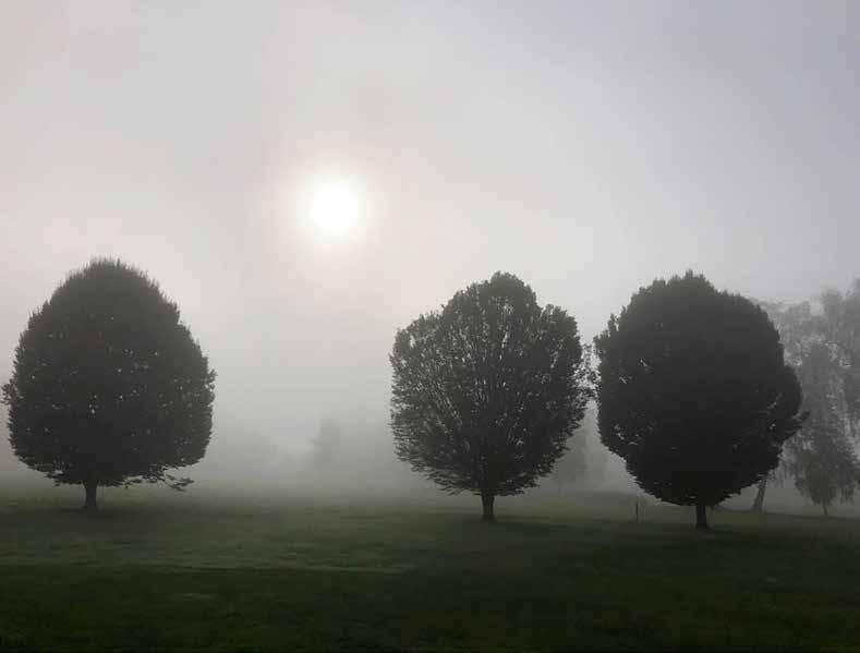 FOTO-WETTBEWERB Foto-Wettbewerb Nebel, Abendstimmung und Farbe In Zeiten von Smartphones und Drohnen gehören Fotos zum Alltag.