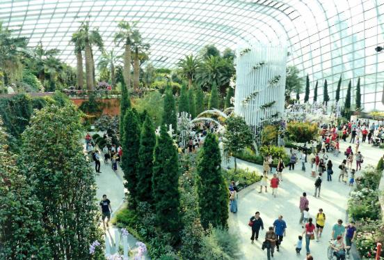 Der Flower Dome ist der größere der beiden und gleichzeitig das größte gläserne Gewächshaus der Welt. Der Park enthält insgesamt 18 sogenannte Supertrees.