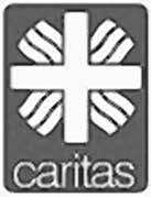 Seite 17 Nachrichtenblatt Gemeinde Hildrizhausen Nummer 38 Caritas Sammlung September 2019 der Sozialausschuss informiert Sozial braucht digital Die Caritas will eine gute Basis für Senioren, Kinder