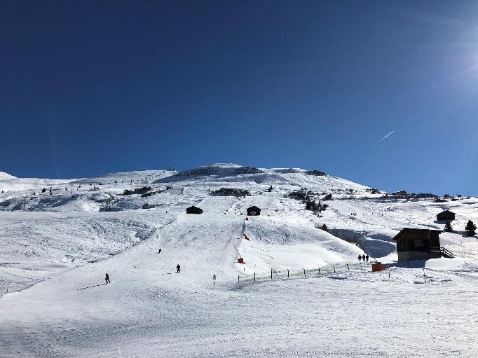 Alles fährt Ski Wie jedes Jahr gab es im OZ Grünau in der ersten Märzwoche einen ersehnten Unterbruch des Schulalltages.