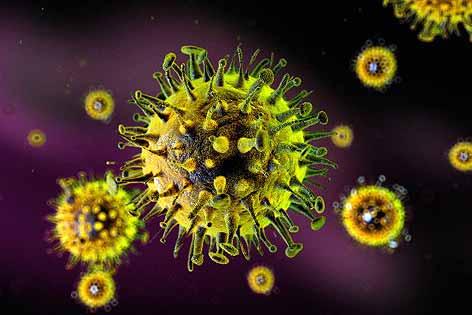 GESUNDHEIT Neuartiges Coronavirus (SARS-CoV-2) Neuartiges Coronavirus (SARS-CoV-2) Krankheit und Erreger Am 11.02.