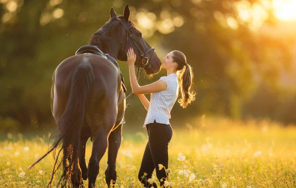 Warum Mädchen Pferde lieben. Mädchen lieben Pferde. Wenn Bibi und Tina, Fury, Flicka oder Ostwind die alten Stofftiere und Barbies verdrängen, dann ist es so weit: Das Pferdefieber ist ausgebrochen.