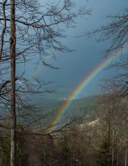 Corona Der Regenbogen Die Ausgangssperre, die wirtschaftliche Situation, die Sorge um ältere Mitmenschen, die gegenwärtige Lage belastet mich.