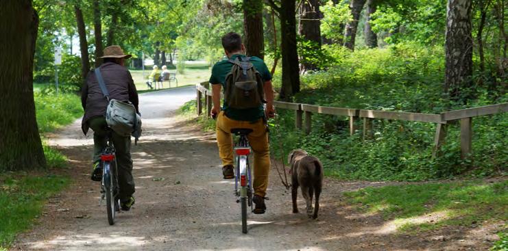 NATUR UND UMWELT Für die Dienstfahrten im Naturpark werden Räder genutzt. Der Labrador von Milan Mato Glatt läuft an der Leine nebenher.