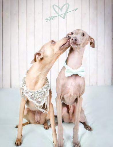 Dabei liegen ihr Tierschutzhunde und Hundesenioren besonders am Herzen. Hunde, die nicht mehr lange zu leben haben, fotografiert sie ehrenamtlich in sogenannten Regenbogenshootings.