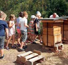 Besonders die Tatsache, dass die Honigbiene in einer hochsozialen Gemeinschaftsform lebt in der jeder seiner Aufgabe nachgeht, interessierte die jungen Gäste.