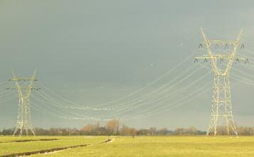 Figure 4: High-voltage (150 kv) power line in the Netherlands, with bird flappers (see inset) placed at regular intervals along both ground wires as bird flight diverters.
