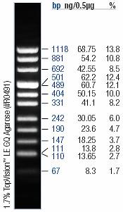 3. Material 3.17 DNA-Längenstandards puc Mix Marker 8 GeneRuler 100 bp DNA- Ladder GeneRuler 1 kb DNA- Ladder Abb. 3.1: DNA-Längenstandards (Fermentas GmbH, St.