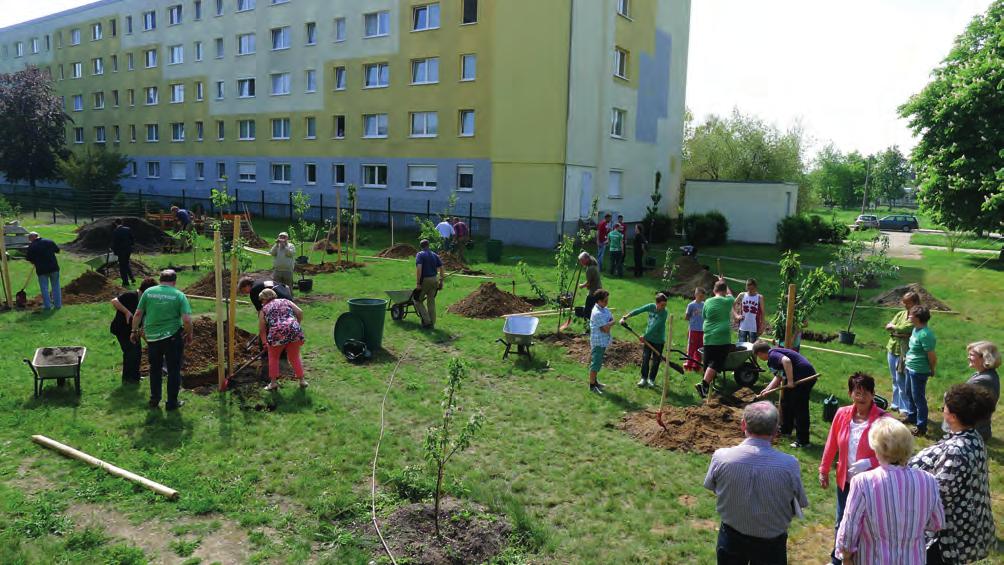 26 thema 03/2019 _ Nachrichten der ARL Ort, mit denen wir Schritt für Schritt, Baustein für Baustein den Aufbau der Urbanen Farm Dessau vorangetrieben haben.