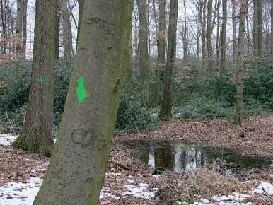 64 Berichte Naturwiss. Verein Bielefeld 50 (2011) 3.