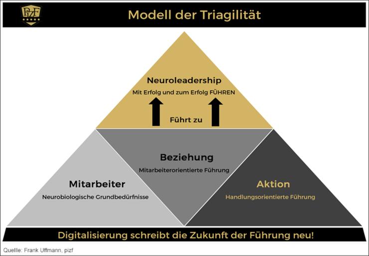 Im Modell der Triagilität (siehe Abbildung) sind drei Komponenten in der Führung dargestellt, die sich positiv auf Mitarbeiter in Veränderungsprozessen auswirken: 1.