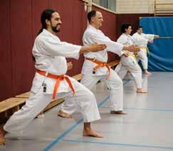 Abteilungsleiter: Lothar Klein Karate Shotokan-Karate Annähernd pünktlich zu ihrem einjährigen Bestehen richtete die Shotokan- Karate Sparte des TV Jahn e.v.