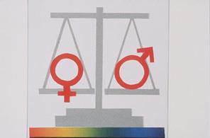 Säule: Gender Mainstreaming Seit vielen Jahren ist Gleichstellung bzw.