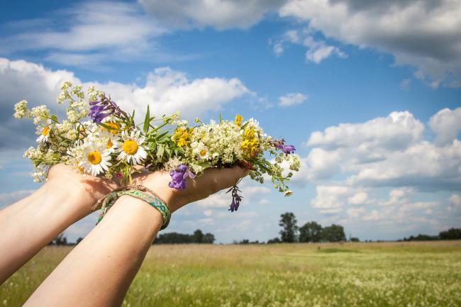 Wer von Euch nun einen Kräuterbuschen binden will, sammelt zunächst so viele Kräuter und Blumen in einem Korb, wie Ihr in Eurem Sträußerl haben wollt.