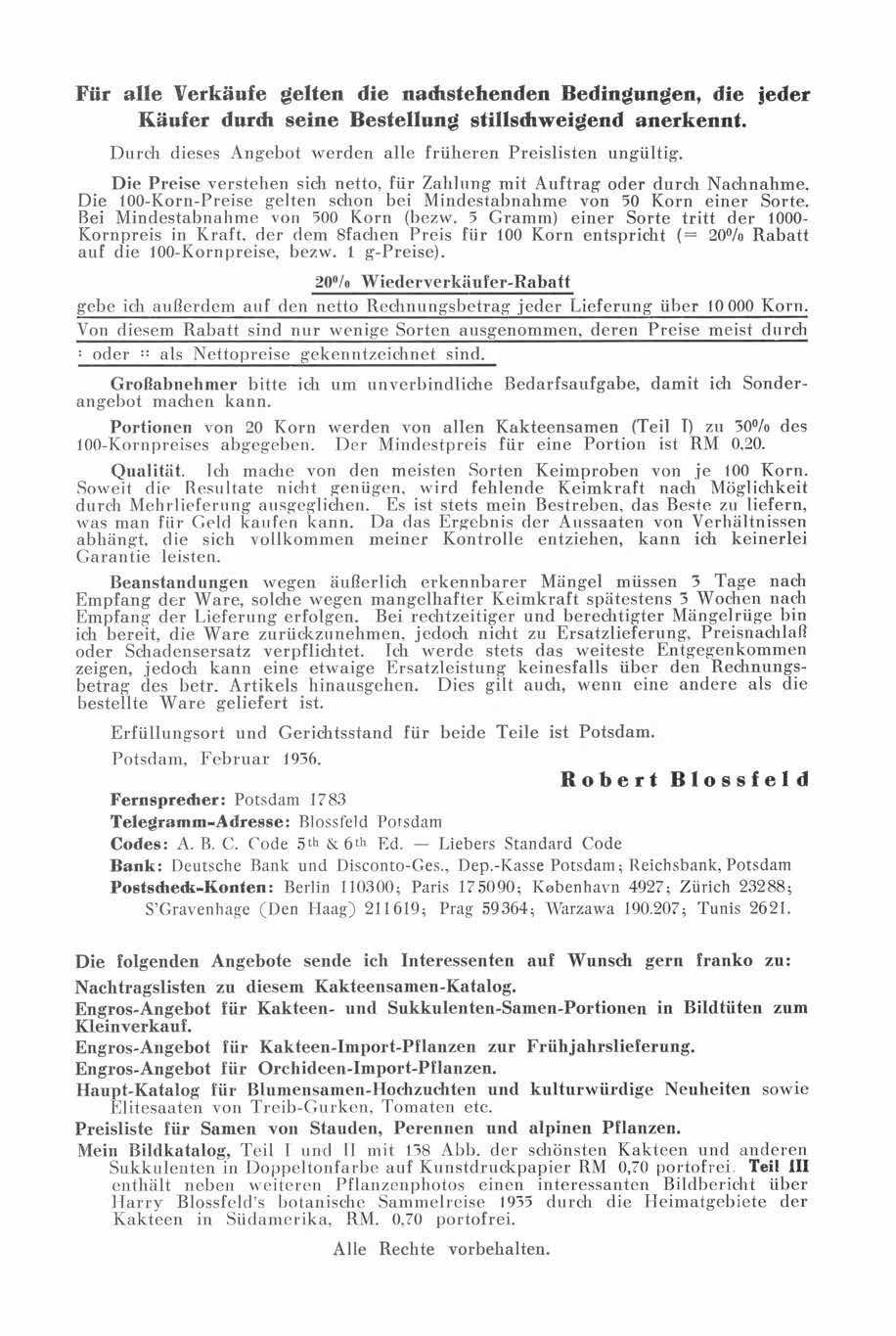 Robert Blossfeld POTSDAM, NEUE KOENIGSTR PDF Kostenfreier Download