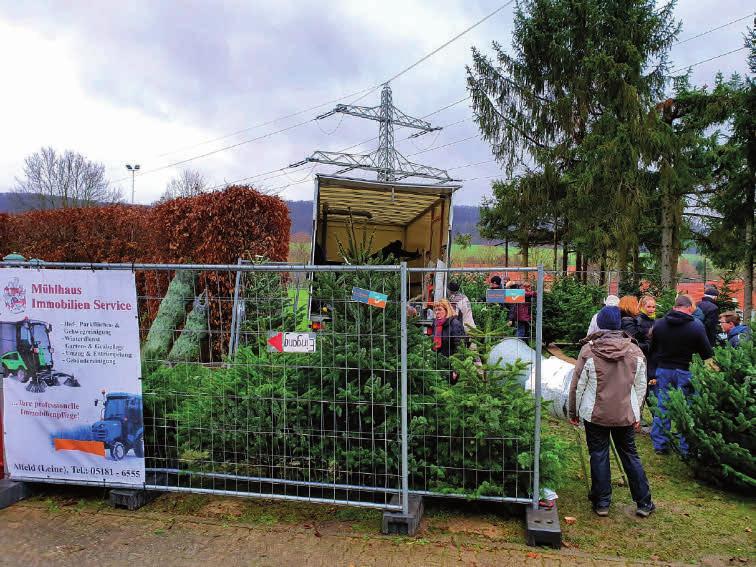 TSV Warzen Weihnachtsbaumaktion Die vom TSV Warzen erstmals durchgeführte Weihnachtsbaumaktion auf dem Sportplatz wurde gut angenommen.