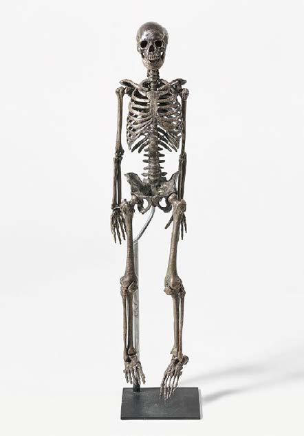 Anatomie Schädel anatomic scull 19cm Markus Mayer Totenkopf 