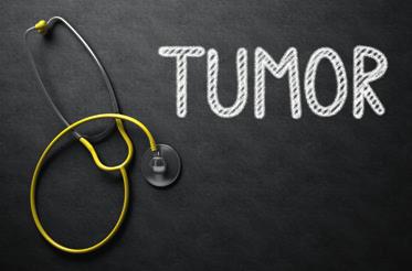 Verantwortung Neue onkologische Versorgungsstruktur löst Tumorzentrum TUZEL ab Spezialisierte Einheiten sind der Zukunftstrend Die Krankenhauslandschaft in Gelsenkirchen und in der Region
