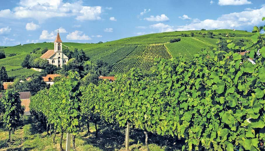 17Auggen Wein- und Erholungsort zwischen Schwarzwald und Vogesen 17 Das schmucke Winzerdorf Auggen liegt im Herzen des Markgräflerlandes. Es wurde im Jahre 752 erstmals urkundlich erwähnt.