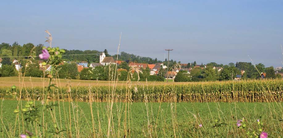 21Buggingen Lage, Geschichte und Wirtschaft Die Gemeinde Buggingen liegt mitten im Markgräflerland, im Dreiländereck zwischen Freiburg, Basel und Colmar.