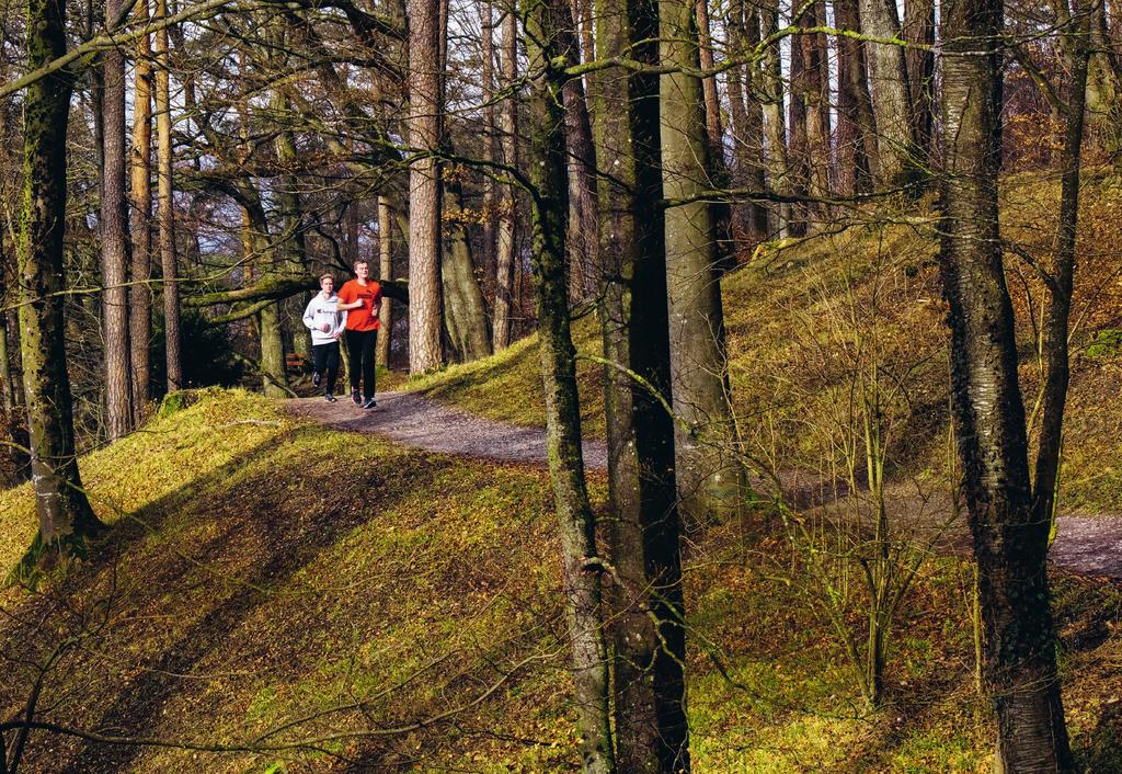 Helsana-Trails Florian Moors (vorne) läuft am liebsten im Wald und zu zweit, wie hier mit Tim Mehlisch. st? gewus Schon ie für S hnen g. Wir belo u g we n Ihre Be : r e t n u Mehr lus a.