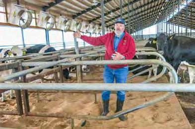 BAUERNBLATT 30. Mai 2020 Tier 41 Blick in die USA Neuer Hybridstall für Kühe und Kälber paarweise in Iglus Der Bundesstaat Wisconsin wird auch Milchland der USA genannt.