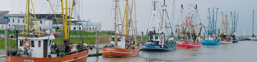 LWK 2020 Fischerei lwk-niedersachsen.de/fischerei 24 Krabbenmarkt in Schieflage Kutter im Hafen von Dorum Krabbenfischer fordern gleiche EU-Beihilfen für alle.