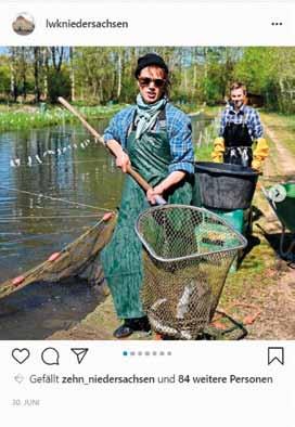 In dem Instagram-Beitrag der LWK, der so viele Likes (rund 960) bekommen hat wie kein anderer zuvor, ging es um einen Treckerunfall im Landkreis Ludwigslust-Parchim (Mecklenburg- Vorpommern):