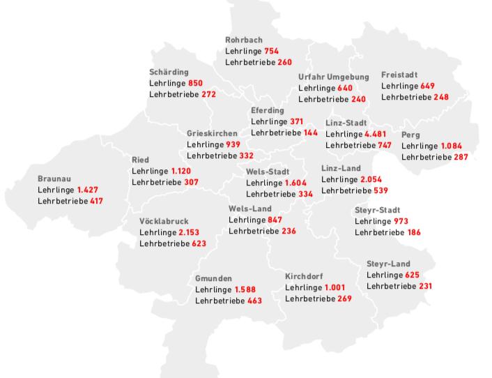 Wie der Abbildung zu entnehmen, waren 2018 in Oberösterreich 23.160 Lehrlinge in Ausbildung, darunter 15.645 männliche und 7.515 weibliche Lehrlinge.
