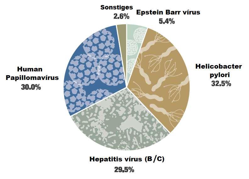 Papillomavirus ganglion aine - MST (nemi úton terjedő betegségek)