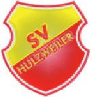 Der SV Hülzweiler stellt sich vor Der SV Hülzweiler wurde im Jahr 1999 aus den Vereinen FC Union und DJK Hülzweiler gegründet 1. Vorsitzender des Vereins ist Jürgen Schmitt, 2.
