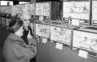 WALLIS Walliser Bote Montag, 27. November 2000 18 Zwei Briger Damen begutachten mit grossem Interesse die Gefiederten. Genau hinschauen lohnte sich. Jeder Vogel ist anders. «Den Vogel abgeschossen.