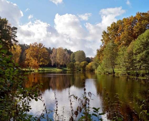 Entspannung, Kraft und Ruhe am Wasser Die Lüneburger Heide ist ein ganz besonderer Ort für mich, da sie mir durch ihre vielfältige und bezaubernde Landschaft viel