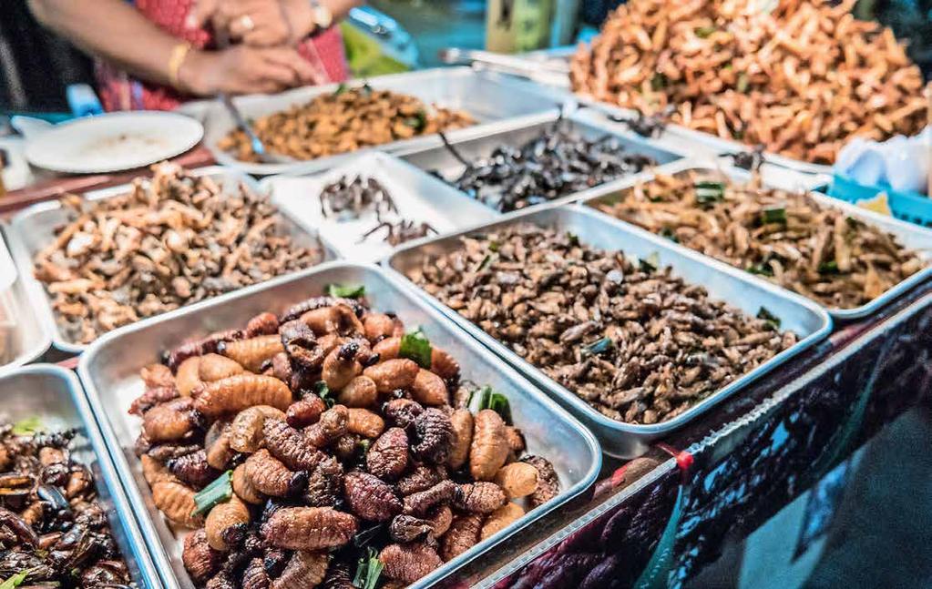TIHO titel Verkaufsstand mit zubereiteten Insekten in Thailand. Foto: romas_ph - adobe.stock.