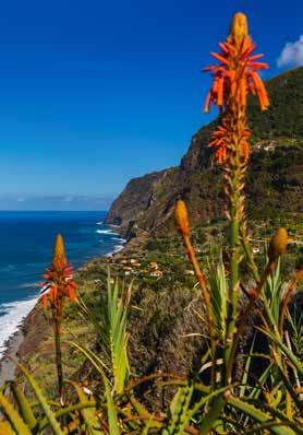 November ist für Madeira eine ideale Reisezeit mit angenehmen Tagestemperaturen zwischen 16 und 22 Grad. Die Zeitverschiebung in Funchal beträgt minus 1 Stunde zur Schweiz (MEZ).