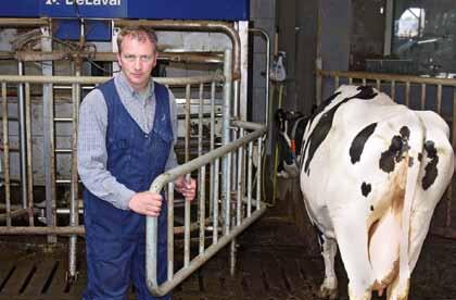 Holland Milchviehhaltung 1 2» bei mir muss alles von Anfang an stimmen.«gregor Gross-Bölting 1 Gregor entwickelte selbst ein einfaches Selektionstor, mit dem die Kühe in den Roboter getrieben werden.