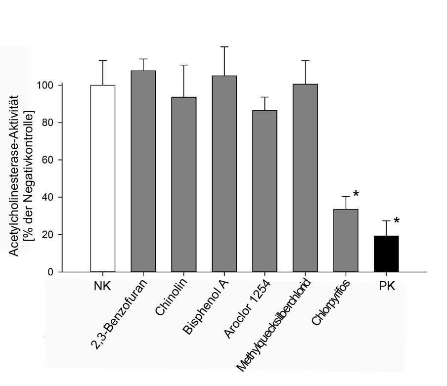 ERGEBNISSE ACHE-ASSAY Mit Ausnahme von Chlorpyrifos, verursachte jedoch sonst keine der ausgewählten Monosubstanzen eine Hemmung der Acetylcholinesterase-Aktivität.