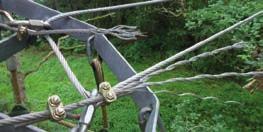 Alschrabkarabiner mit starken Einlafspren als Umlenkpnkt in einem Top Rope Teamseilgarten. In dem Seilgarten werden regelmäßig operative Inspektionen drchgeführt.