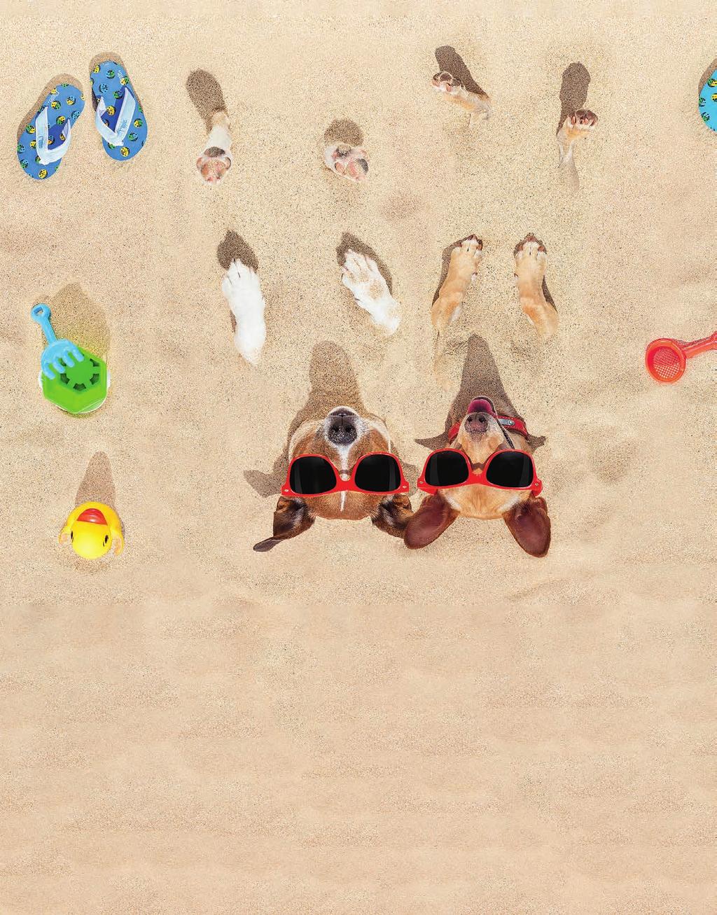 Humor U3 Ist das nicht tierisch? Endlich Sommer! Sonne, Meer, Strand und viel Zeit, beim Buddeln im Sand seiner kreativen Ader freien Lauf zu lassen.