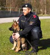 Bei insgesamt drei Live-Einstiegen stand er der ORF Moderatorin Pia Seiser Rede und Antwort zur Ausbildung von Diensthunden bei der Landespolizeidirektion Niederösterreich.