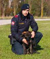 Ein Diensthund ist nicht nur ein Partner für den polizeilichen Alltag, er ist ein Familienmitglied, welches einen ab dem ersten Moment an in allen Lebenslagen begleitet,
