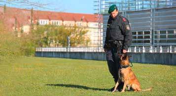 Auch der bereits neun Monate junge Quattro, ein Hund, der den Sprung aus dem Tierheim in die Reihen der Polizeidiensthunde geschafft hatte, als auch der neun Jahre alte