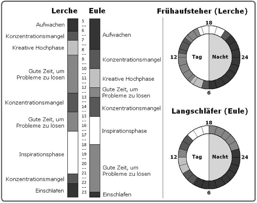 Zur Bestimmung des Chronotyps stehen Selbstbeurteilungs-Fragebögen zur Verfügung, wie der Fragebogen zur Morgen und Abendaktivität (MEQ) Home und Oestberg (1976) 22 und das Munich Chronotype