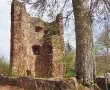 2021 3-Burgen Wanderung Rundwanderung zu den 3 Burgen/Ruinen des