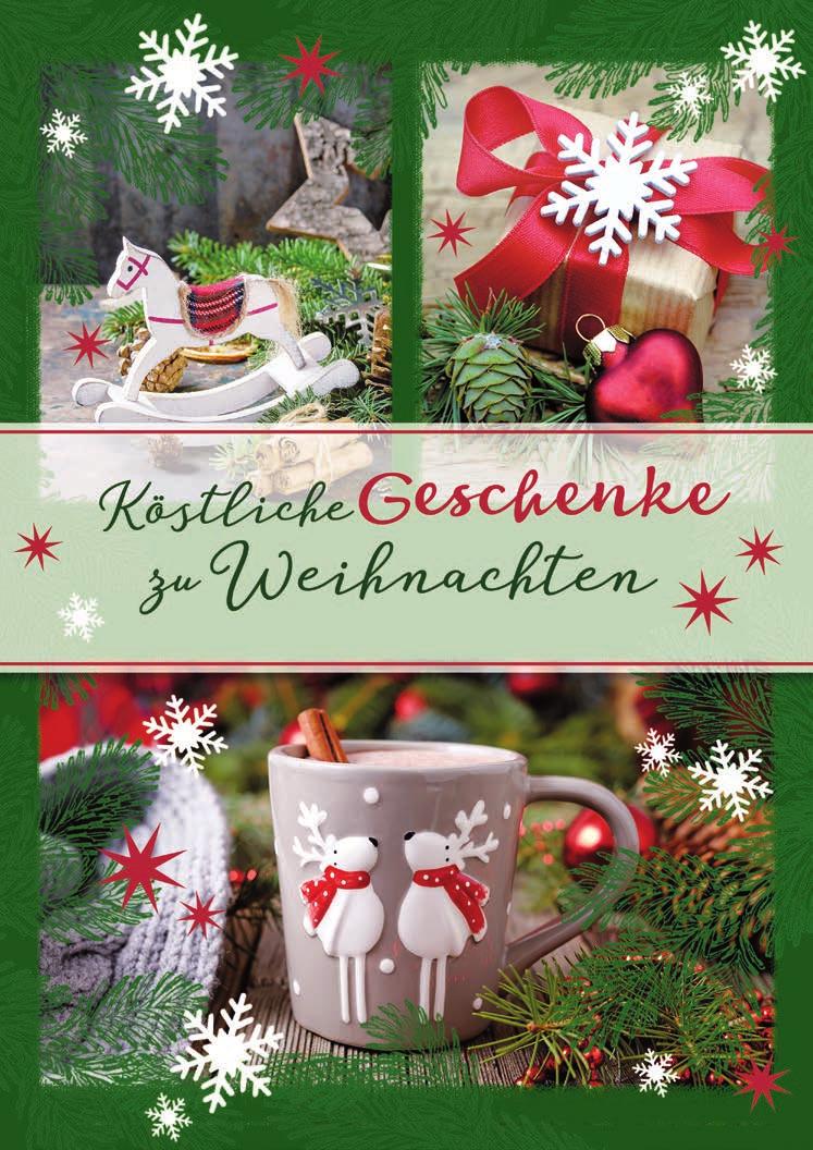 Winter Geschenk-Karton sehr stabil  "Merry Christmas " 35 cm NEU Weihnachten