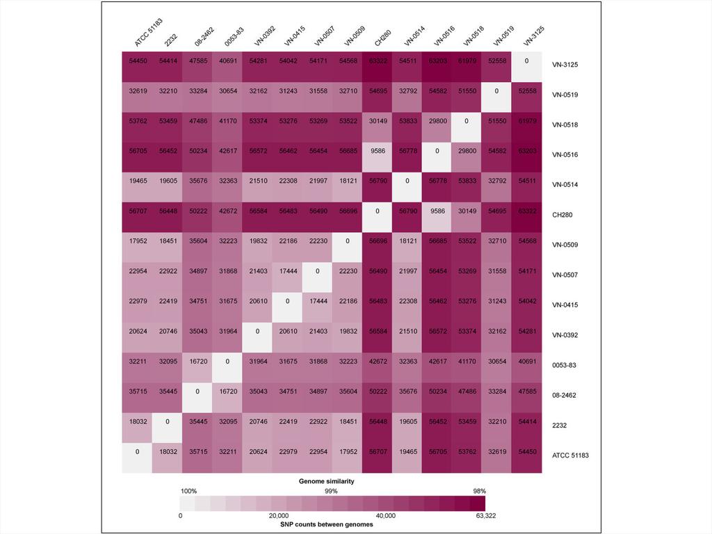 Figure S1. SNP distance matrix of 14 V. navarrensis strains analyzed in this study.