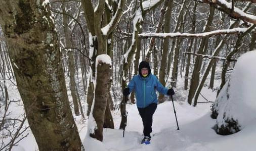 teils aber auch zu Fuß, auf Langlaufski oder mit Schneeschuhen in wunderschöner Winterlandschaft (im Februar).